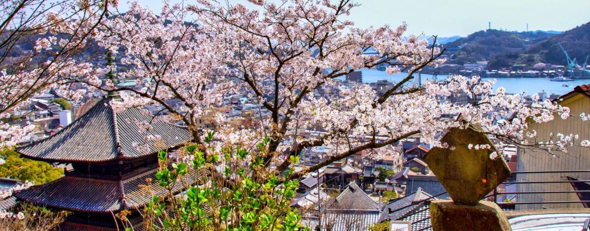 桃園出發→廣島空港→有貓出沒!尾道貓之細道→跨海公路~島波海道→櫻花秘境~伯方島開山公園→三原市區飯店